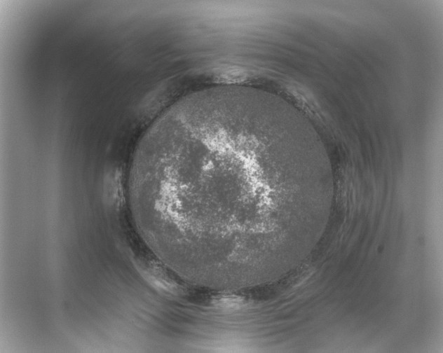 X0000068730598200605051501