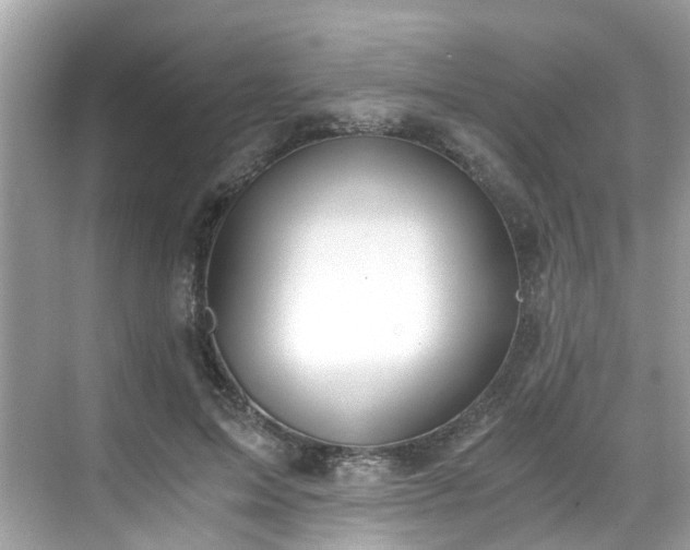 X0000068730599200605051501