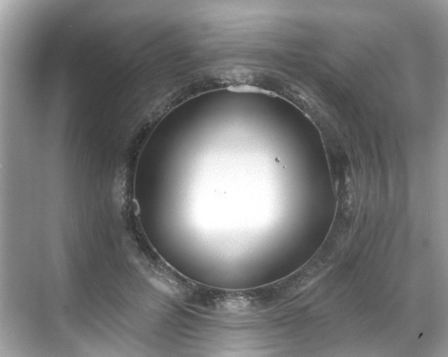 X0000068730600200605051501