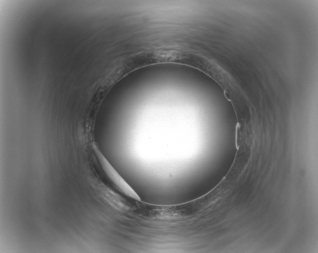 X0000068730601200605051501