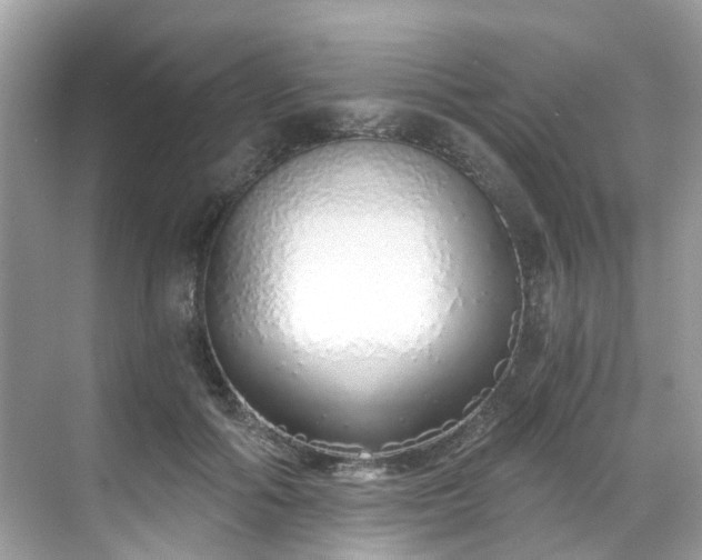 X0000068730602200605051501