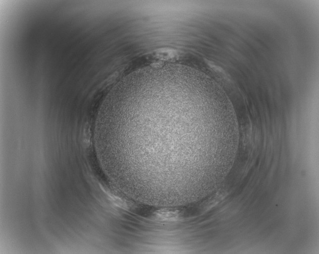 X0000068730606200605051501