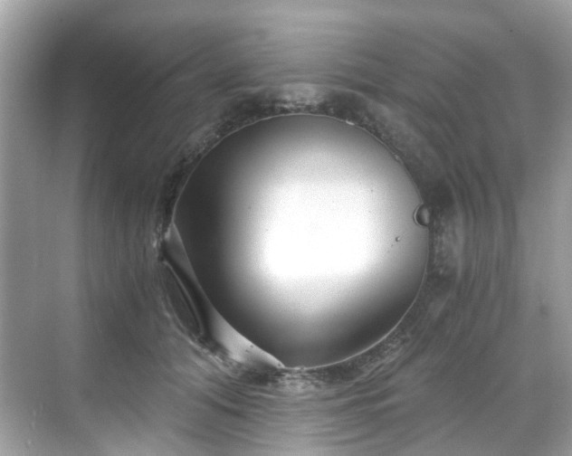 X0000068730608200605051501