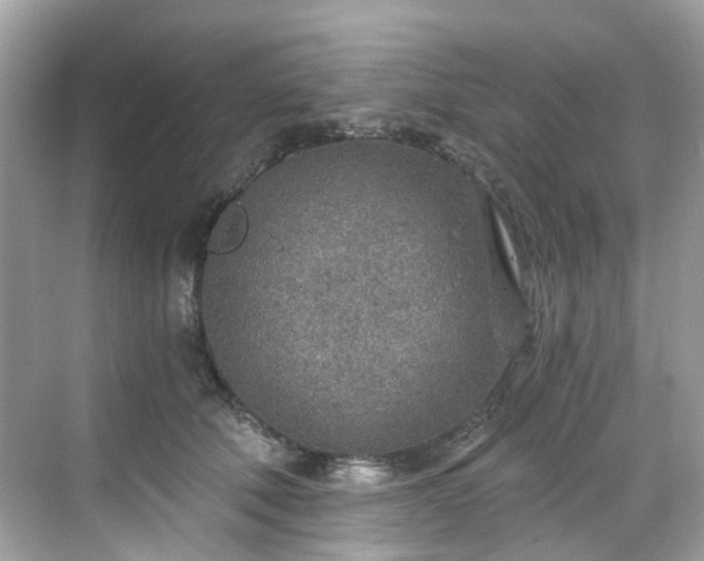 X0000068730610200605051501