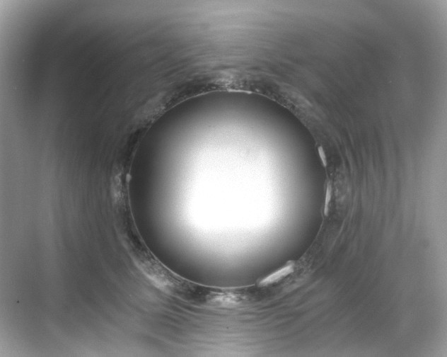 X0000068730611200605051501