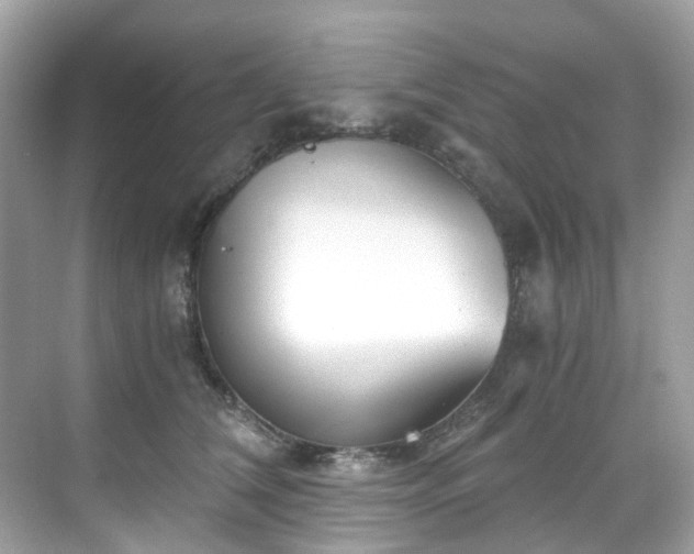 X0000068730612200605051500