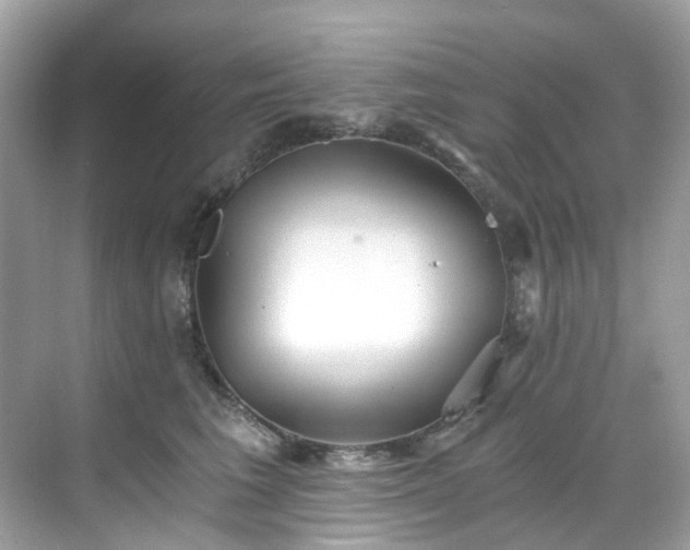 X0000068730613200605051500