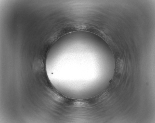 X0000068730614200605051500