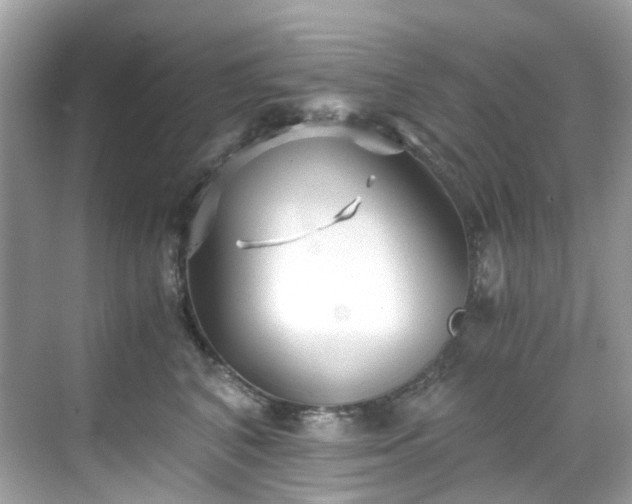 X0000068730616200605051500