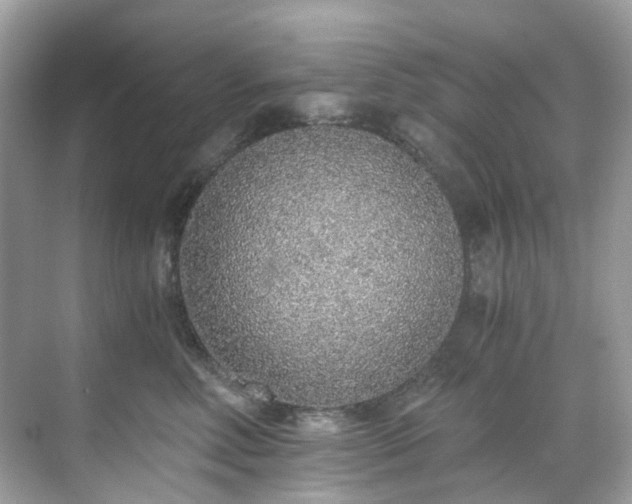 X0000068730618200605051500