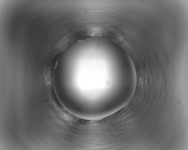 X0000068730620200605051500