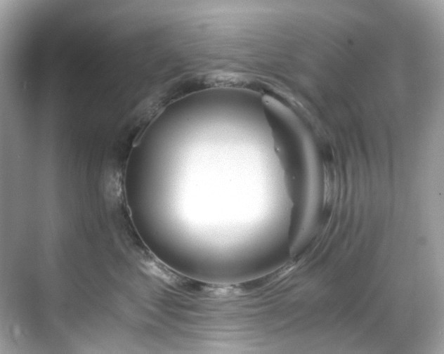 X0000068730621200605051500