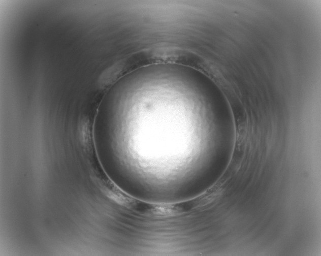 X0000068730623200605051500