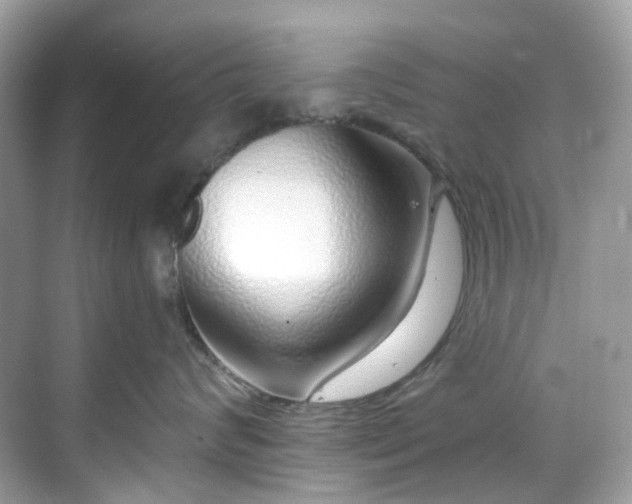 X0000068730624200605051500