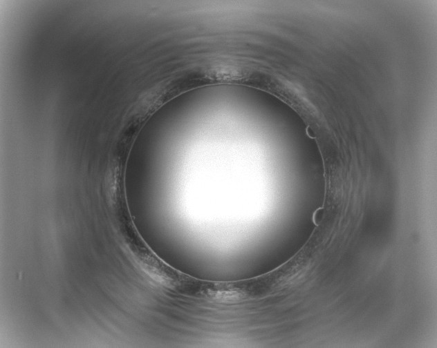 X0000068730645200605051500