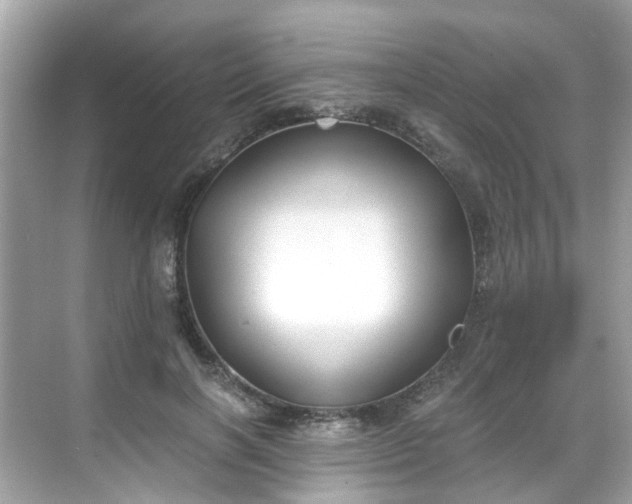 X0000068730646200605051500