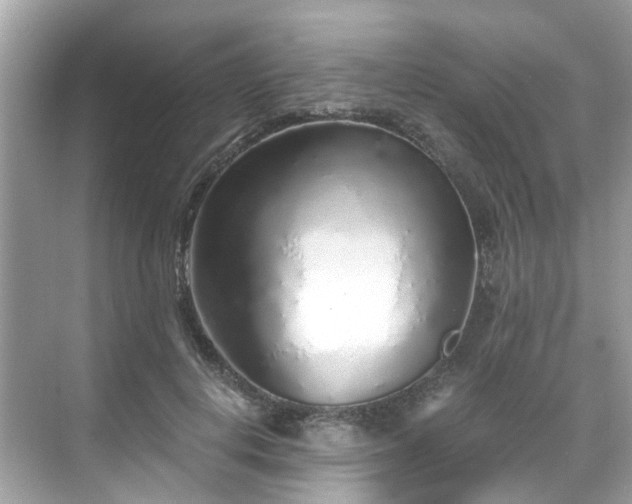 X0000068730648200605051500