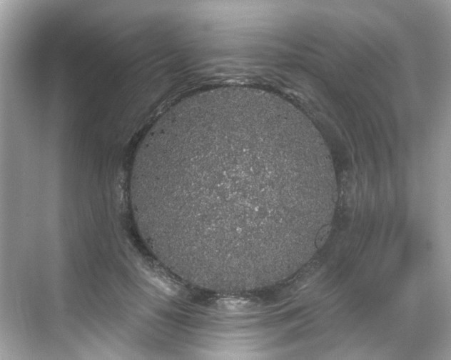 X0000068730650200605051500