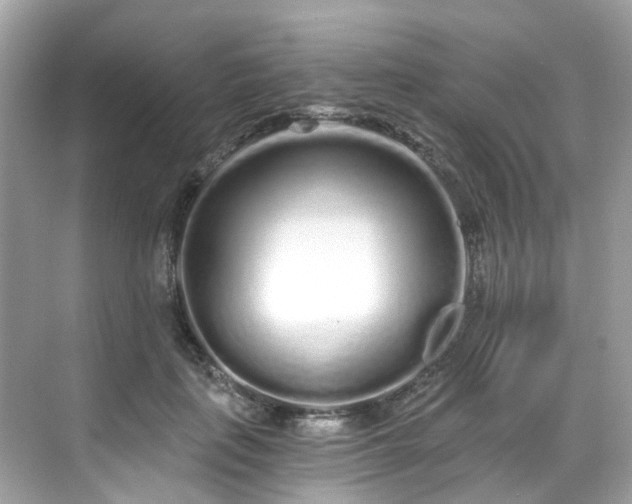 X0000068730651200605051500