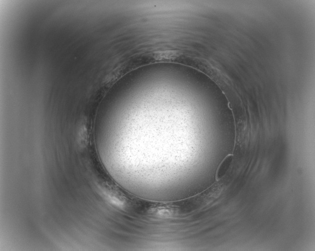 X0000068730655200605051500