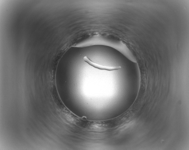 X0000068730657200605051500