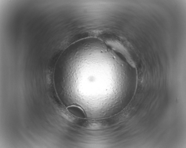 X0000068730658200605051500