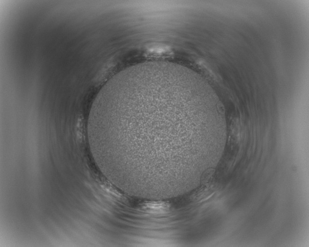 X0000068730659200605051500