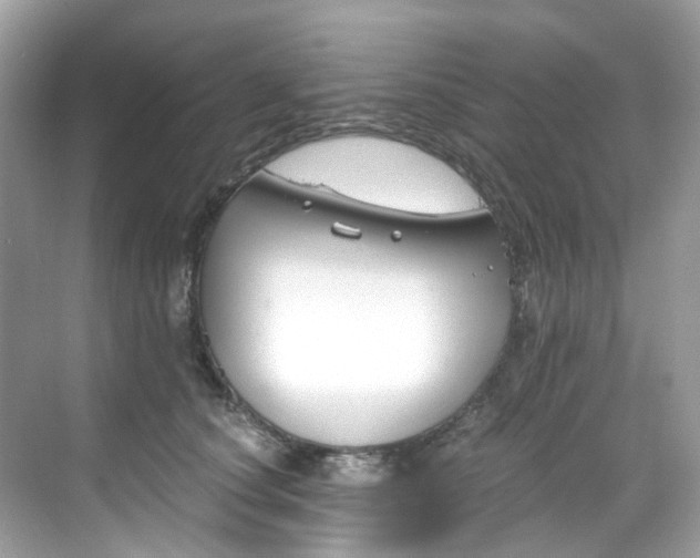 X0000068730660200605051500