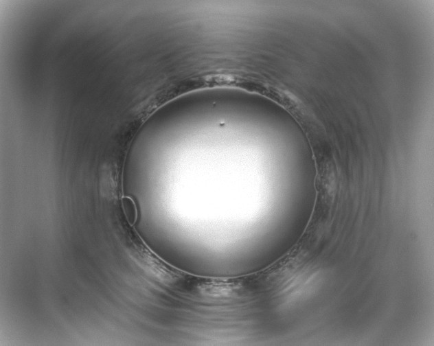 X0000068730661200605051500