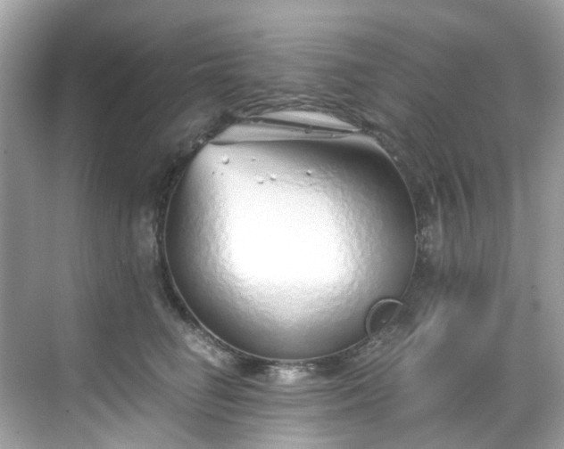 X0000068730662200605051500