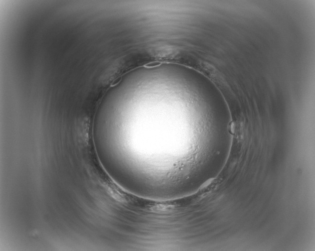 X0000068730664200605051500