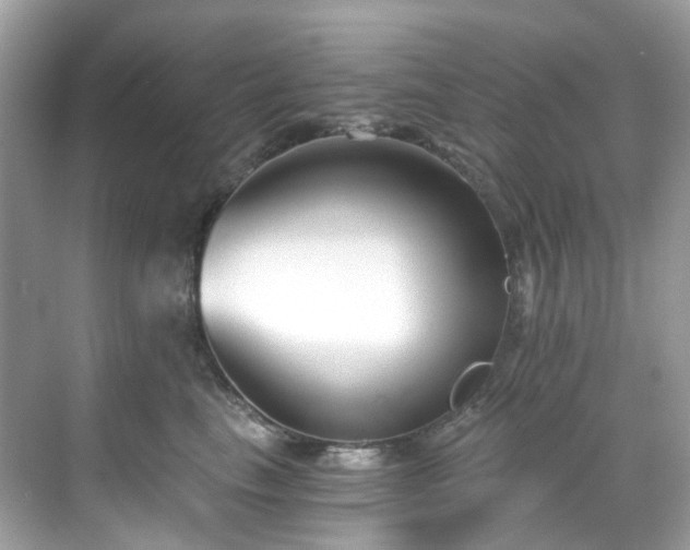 X0000068730665200605051500