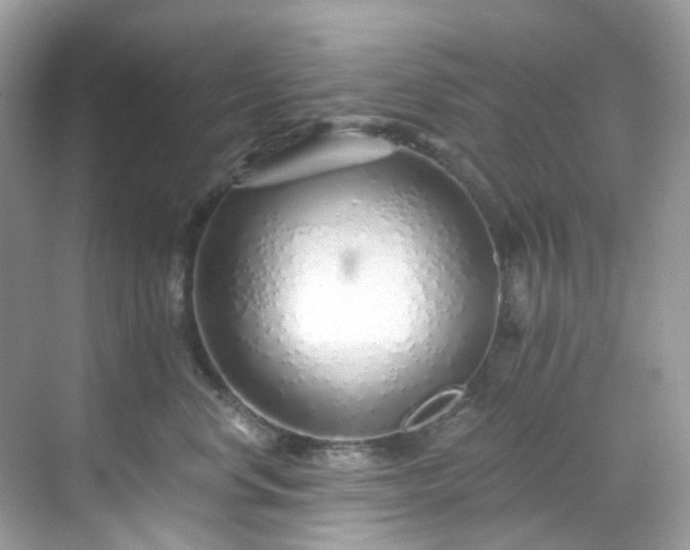 X0000068730668200605051500