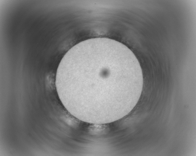 X0000068730672200605051500