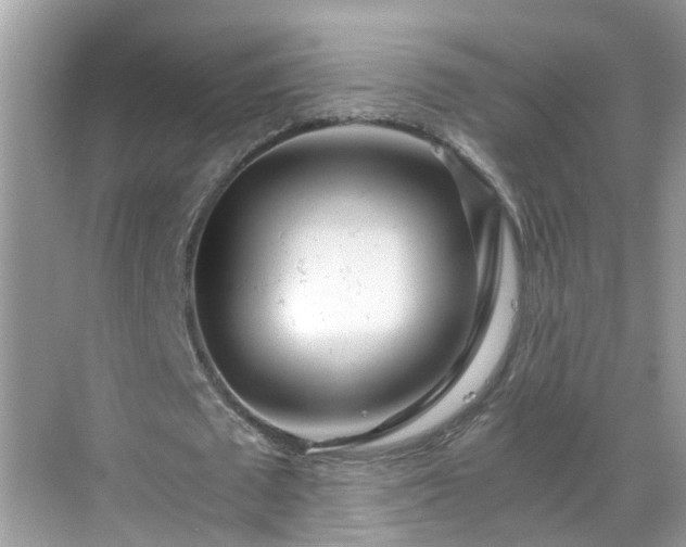 X0000068730673200605051459