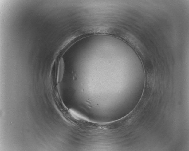 X0000068730674200605051459