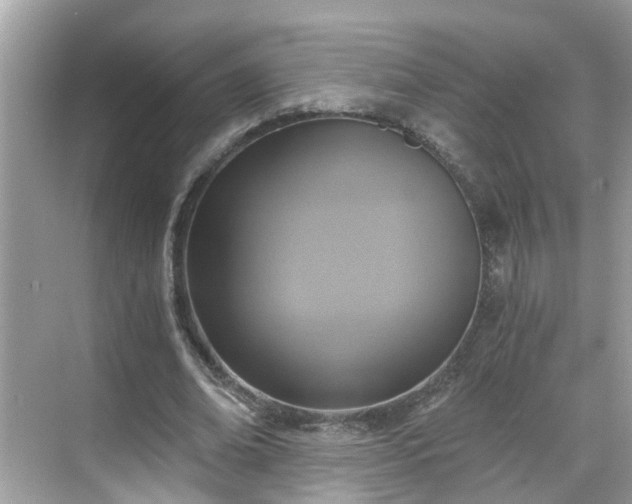 X0000068730678200605051459