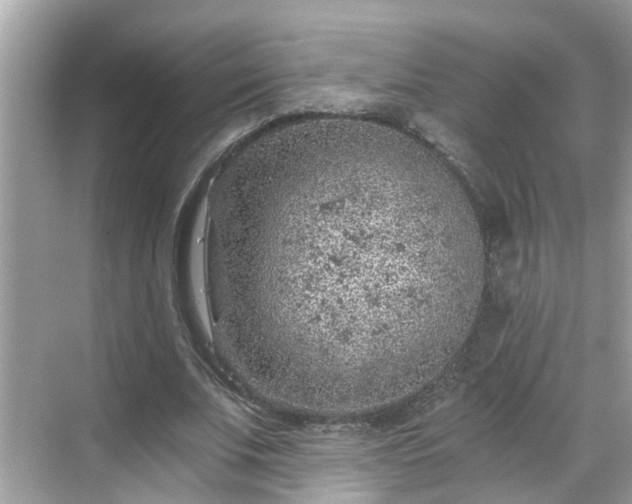 X0000068730679200605051459