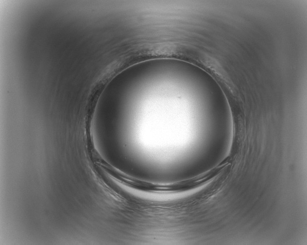 X0000068730681200605051459