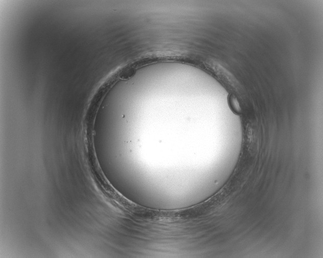 X0000068730684200605051459