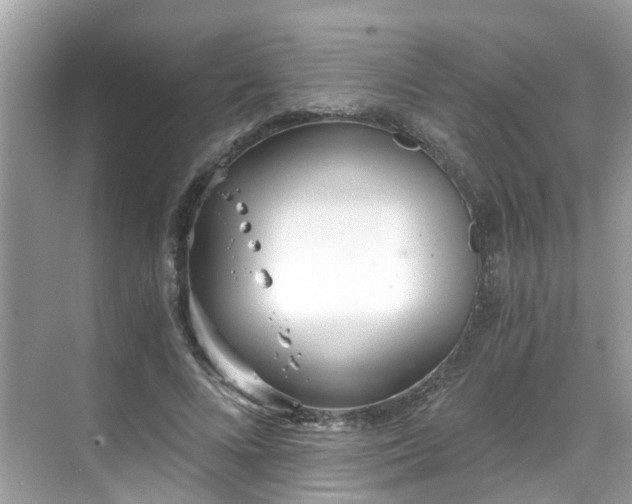 X0000068730688200605051459