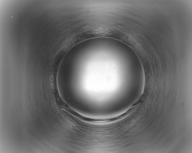 X0000068730689200605051459