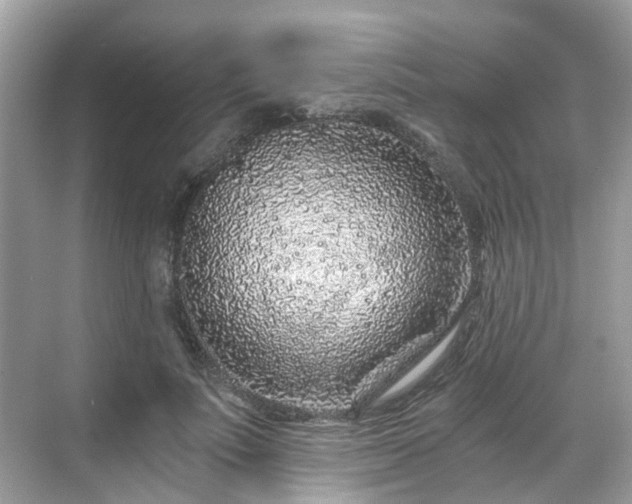 X0000068730691200605051459