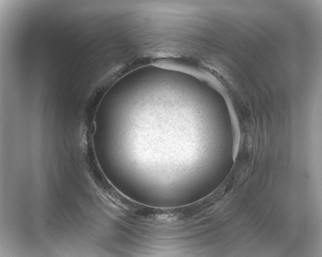 X0000068730692200605051459