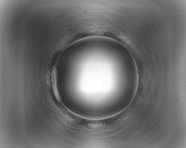 X0000068730693200605051459