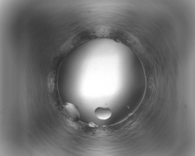 X0000068730697200605051459