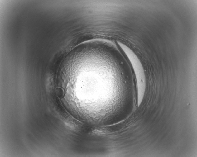 X0000068730699200605051459