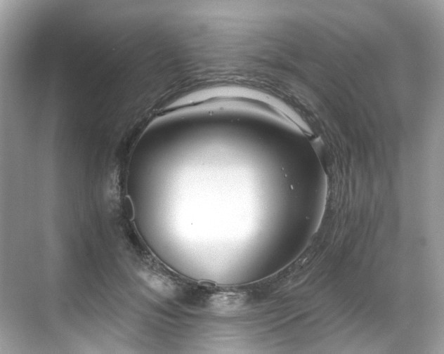 X0000068730700200605051459