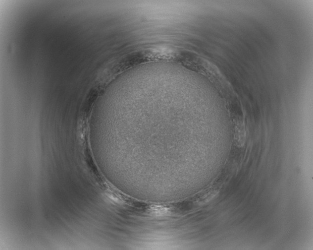 X0000068730701200605051459