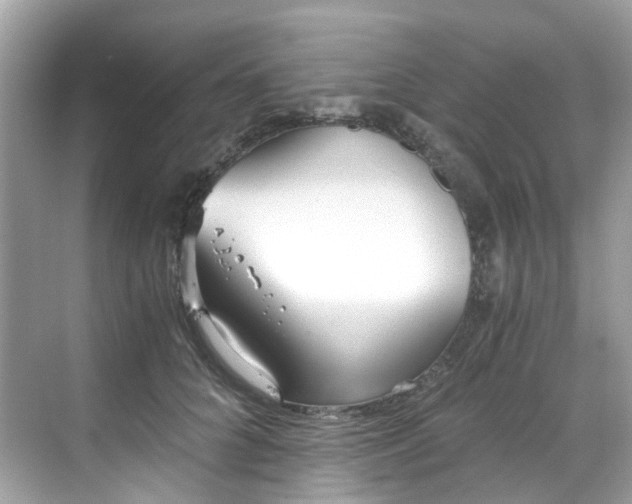 X0000068730704200605051459